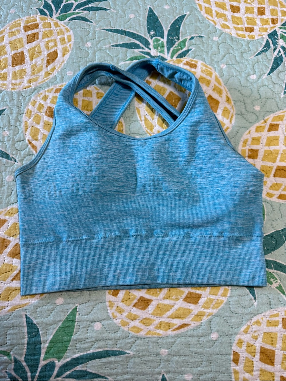 Alphalete Sky Blue Seamless Sports Bra